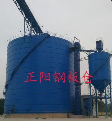 昌江大型矿粉钢板库